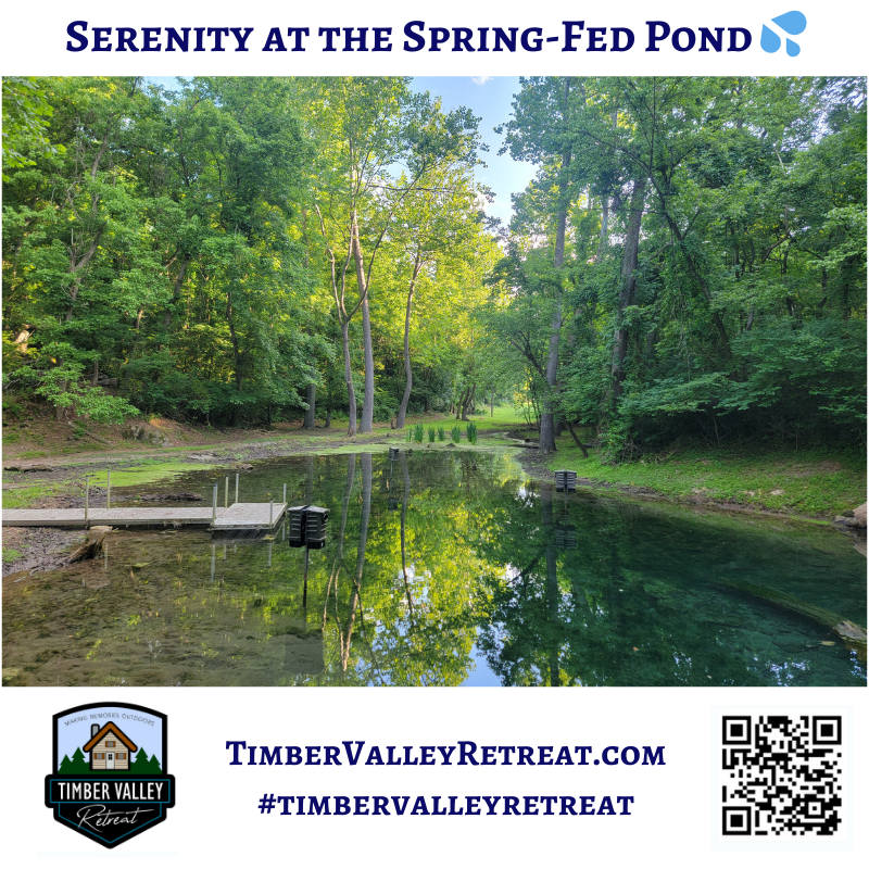 4. Enjoy Our Spring Fed Pond 💧
Water has a way of healing the soul. Our crystal-clear, spring-fed pond is a centerpiece of the retreat. Surrounded by lush greenery, the pond is a focal point for both relaxation and discovery.

The water is naturally filtered by the earth, staying cool and clear throughout the seasons. It reflects the vibrant Maryland sky, creating a mirror-like surface that is a dream for photographers. During a morning walk, you might see the ripple of a turtle surfacing or the flash of a dragonfly. For those looking for a bit of activity, the pond offers a peaceful backdrop for meditation or a quiet stroll along its banks.