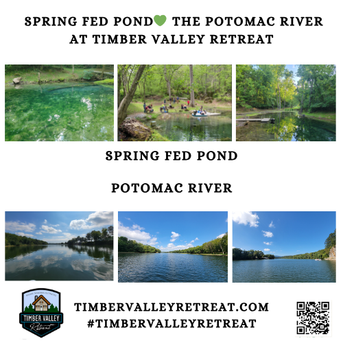 Adventure Vacation Maryland - Attraction 2: The Water Park – Potomac River & Spring Fed Pond 🌊
Why settle for a chlorinated wave pool when you can have the real thing? Our "water park" features two distinct experiences that cater to every mood.
First, we have the legendary Potomac River. Acting as a natural lazy river, the Potomac offers a peaceful but adventurous escape. Whether you are interested in fishing, birdwatching along the banks, or simply sitting on the rocks to watch the water flow by, the river is a constant source of entertainment. It’s where the limestone cliffs meet the water, creating a dramatic backdrop that no man-made pool could ever match.
If you prefer something more intimate, our Spring Fed Pond is a hidden oasis. Surrounded by lush greenery, the pond is a hub for local wildlife. It’s a place for reflection, for watching the ripples on the water, and for feeling the true "cool" of a Maryland spring. On a hot summer afternoon, there is no better "attraction" in the park.