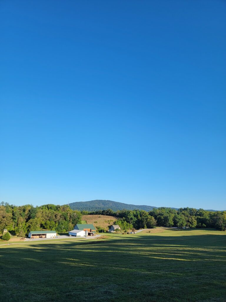 The Legacy of Timber Valley Farm
The farm itself is a testament to 36 years of dedication and hard work. When you visit, you aren't just visiting a rental; you are entering a family’s legacy. If you are planning a larger event, be sure to ask Tom about checking out Timber Valley Farm Barn Rental located right here on the property. Both the farm and the retreat are meticulously maintained by Grosh's Lawn Service, ensuring the natural beauty is always at its peak. 🌳

This dedication to the land is what makes the quiet stillness here so special. It isn't an accident; it’s a choice. We choose to keep the woods healthy, the water clean, and the atmosphere peaceful so that you can find the connection you've been missing.