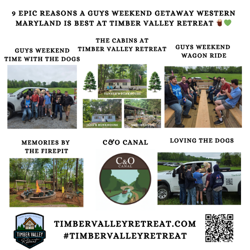Guys Weekend Getaway Western Maryland. 2. Complete Privacy on a Secluded 15-Acre Mountain Ridge
There is nothing worse than booking a group cabin trip only to find out that your neighbors are just ten feet away from your porch. At Timber Valley Retreat, privacy is our pride and joy. Our unique property features a fully dedicated, private 15-acre ridge area designed explicitly for glamping, lodging, and large group gatherings.