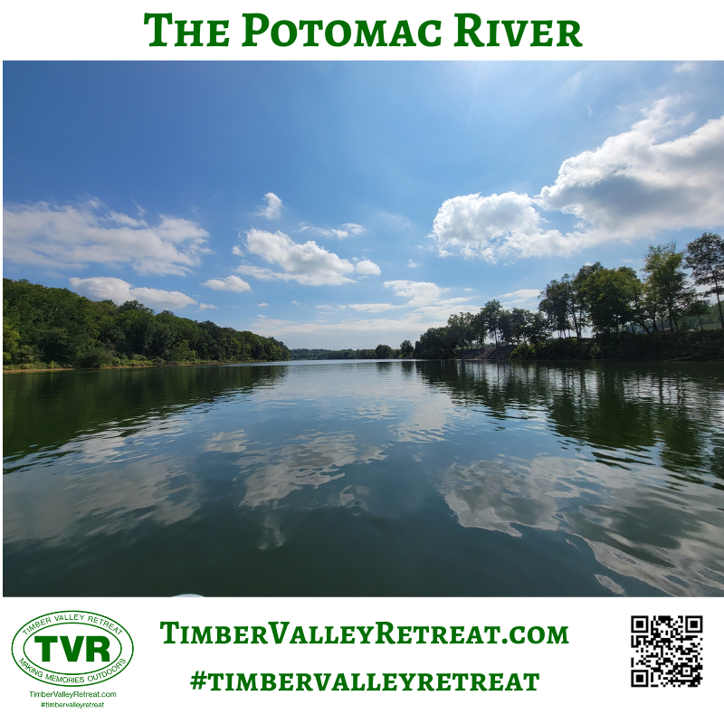 When you tube the Potomac River, you are immersing yourself in one of the most beautiful natural landscapes in Washington County. The river winds through dense forests, rocky shorelines, and open stretches that reveal stunning views of the surrounding countryside.

As you float downstream, the environment changes subtly, giving you a dynamic and ever-evolving perspective. You might begin your journey surrounded by towering trees and end it with wide-open views of the sky reflected on the water.