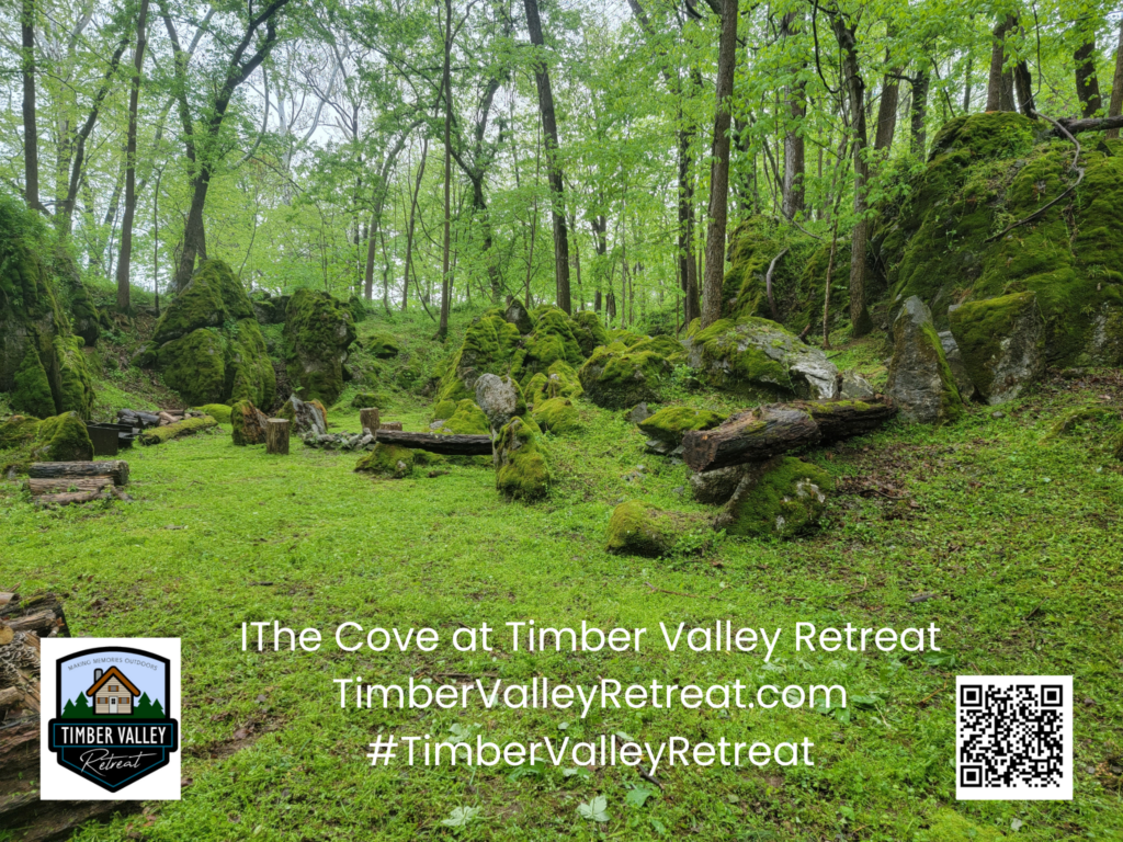 3. Discover The Cove at The Enchanted Forest

One of the most magical features of our 100-acre property is The Cove at The Enchanted Forest. This secluded, private natural woodland area provides an incredible backdrop for unique family moments, milestone celebrations, or breathtaking multi-generational family photos. Timber Valley Retreat, Private Family Reunion Venue at Mountain Cabin Rental Maryland.