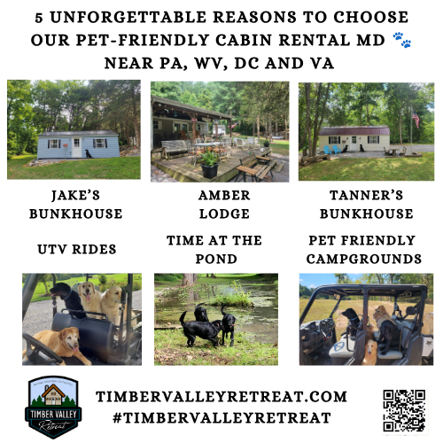 Traveling with pets can be stressful, especially when options are limited. At Timber Valley Retreat, we understand your pets are family. Our Pet-Friendly Cabin Rental MD options are designed with your furry friends in mind, ensuring comfort, safety, and plenty of space to roam. Unlike hotels with restrictive pet policies or crowded campgrounds, our private cabins provide a haven where you can relax, explore, and bond with your pets without worry.