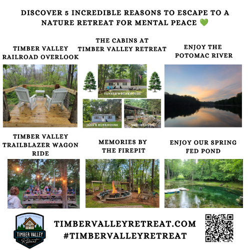 Discover 5 Incredible Reasons Why a Nature Retreat for Mental Wellness is the Best Relaxing Getaway Near Me.

1. Breaking the Cycle of Digital Overload

Digital burnout is a modern epidemic. We are constantly tethered to smartphones, email notifications, social media feeds, and the relentless speed of information.

When you choose a nature retreat for mental wellness, you are intentionally stepping away from this "always-on" culture. Our cabins provide the perfect environment for a relaxing getaway near me, allowing you to trade the harsh blue light of screens for the gentle, golden hues of sunset vista