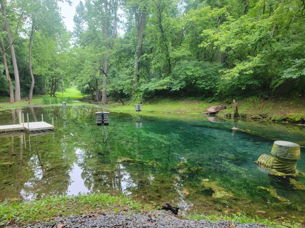 Crystal-clear spring-fed pond at a Peaceful Woodland Retreat featuring Quiet Cabin Retreat Maryland, Nature Retreat Maryland, and Peaceful Getaway Maryland at Timber Valley Retreat.