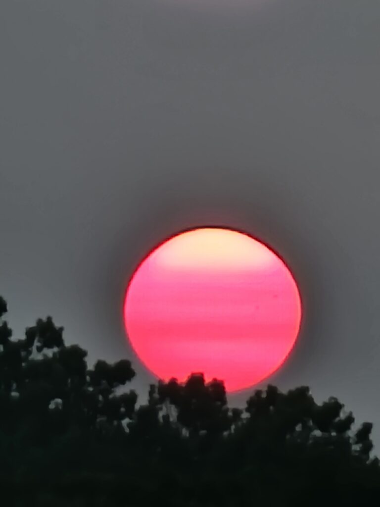 A beautiful "Strawberry sun rises at Timber Valley. The Healing Power of a Sunrise.