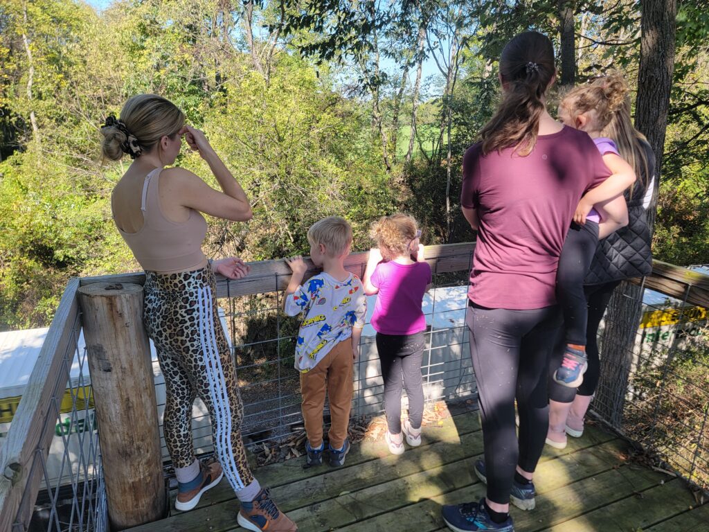 Family enjoying Train Watching Maryland from the Timber Valley Railroad Overlook during a Western Maryland Cabin Retreat at Timber Valley Retreat, one of the most memorable Things to Do in Maryland.