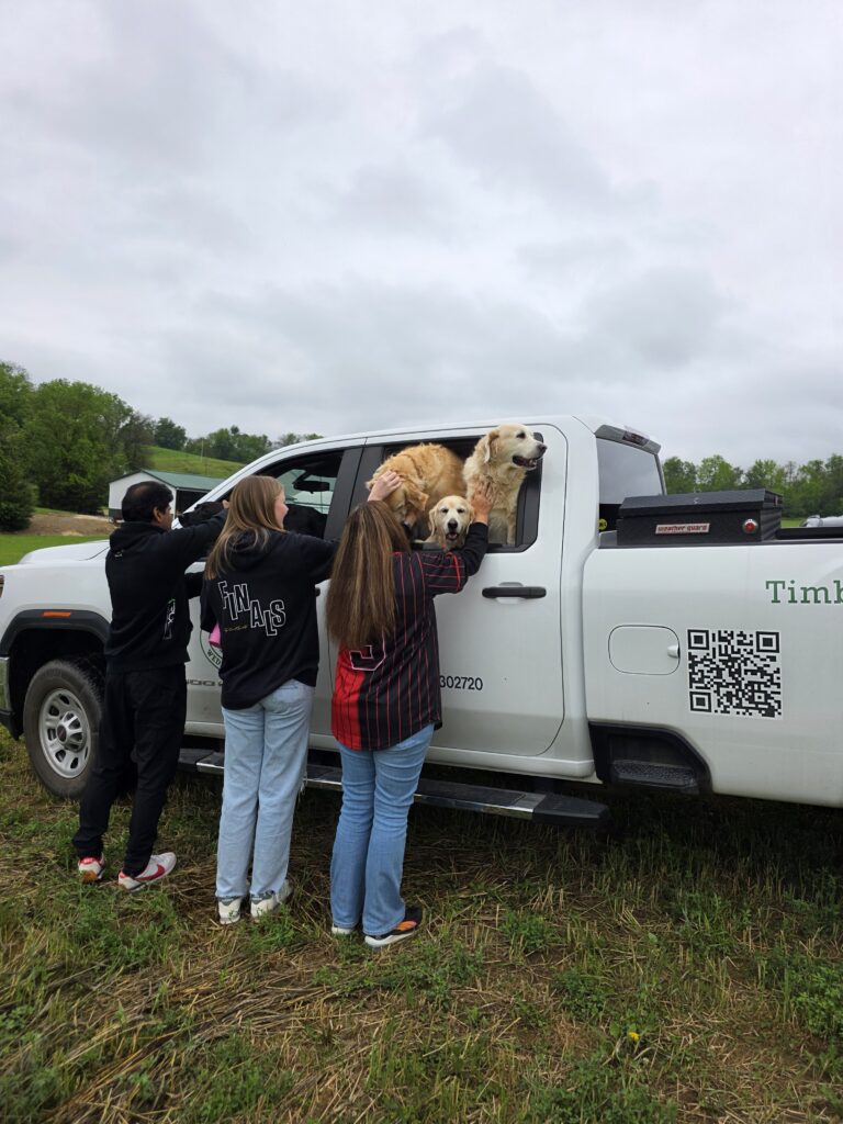 Guests petting the Timber Valley Girls after returning from a Timber Valley Trailblazer scenic wagon ride at Timber Valley Retreat in Western Maryland.