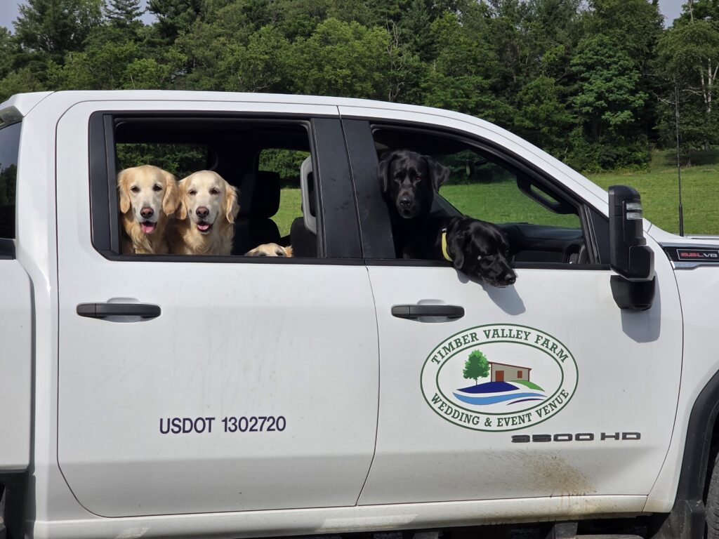 Tom drives the pickup truck while Karen rides up front with the Timber Valley Girls—Joey, Ivy, Clover, Georgia, Sugar, and Ruby.