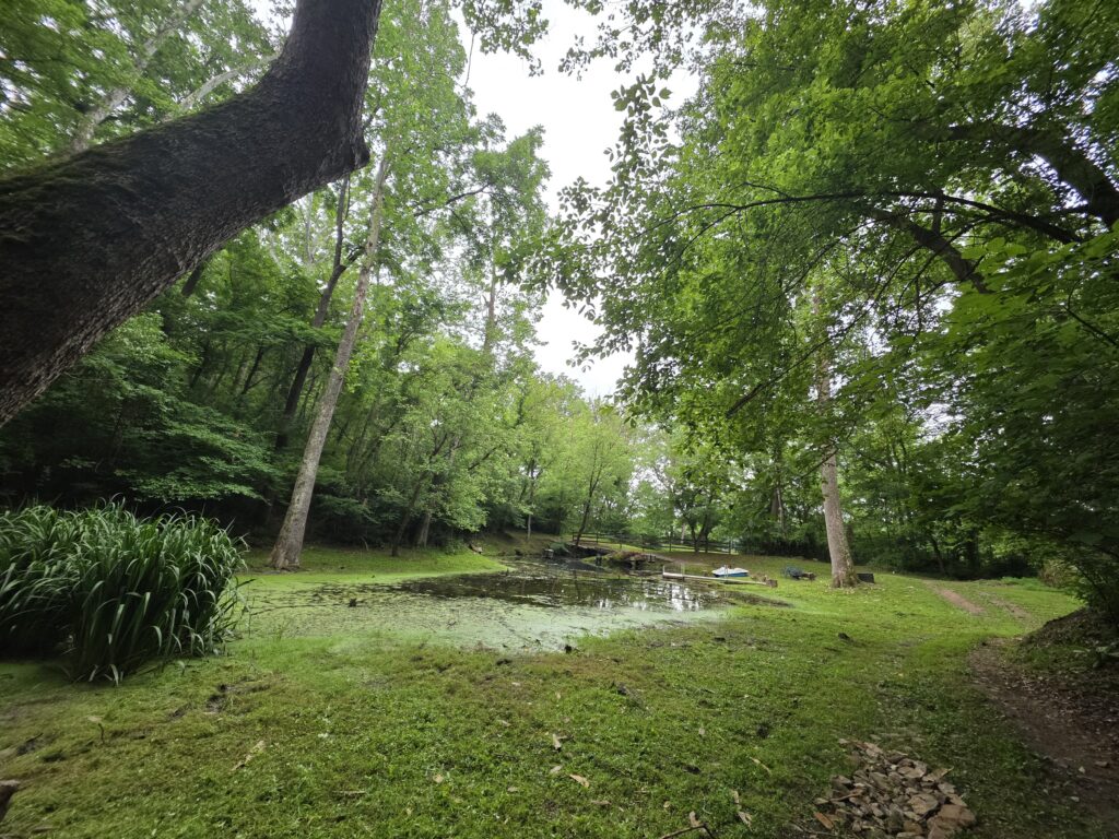 The spring that quietly feeds the pond at Timber Valley Retreat.
