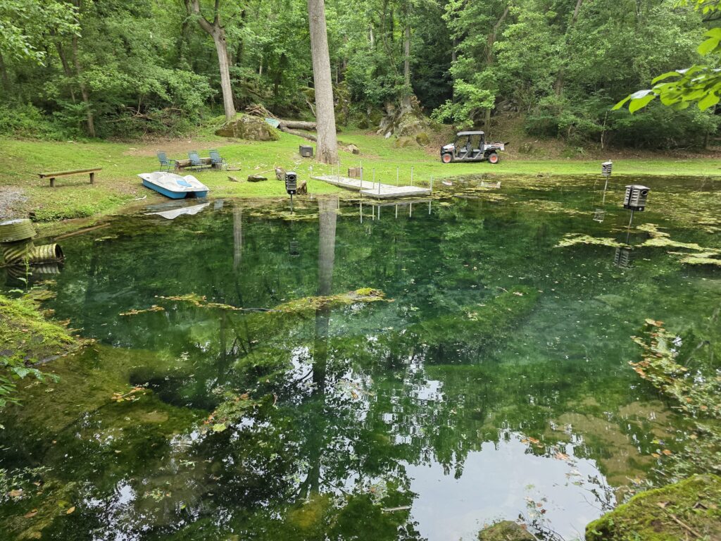 Spring-fed pond at Timber Valley Retreat in Clear Spring, Maryland, cared for through ongoing conservation and stewardship.