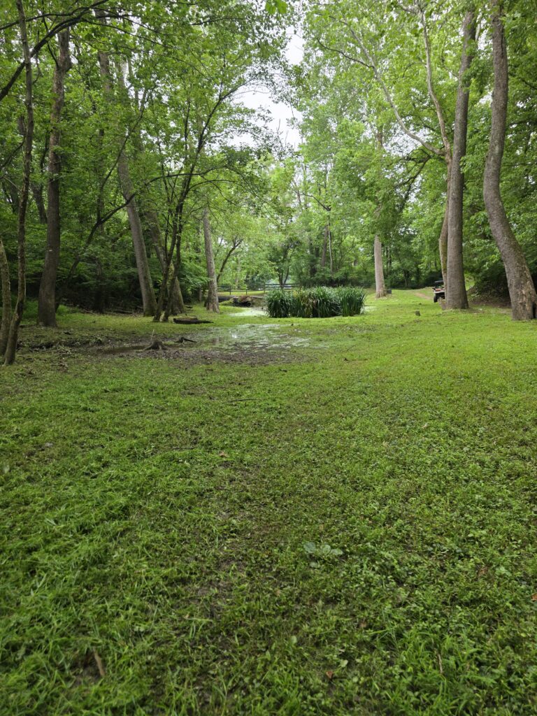 The Cove at Timber Valley Retreat featuring the spring-fed pond, The Tree-Mendous Tree, The Enchanted Forest, and moss-covered boulders in Clear Spring, Maryland.