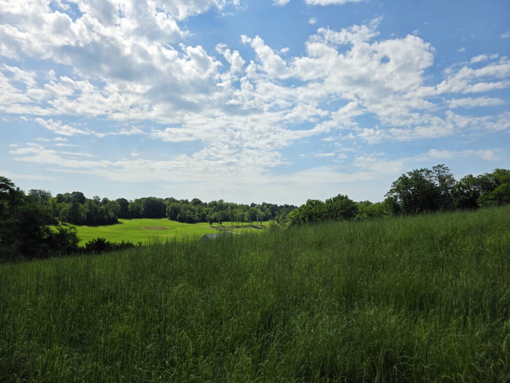 Warm-season native grasses overlooking Timber Valley Retreat in Clear Spring, Maryland, providing wildlife habitat and supporting the property's conservation promise.