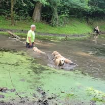 Tom caring for another section of the Spring-Fed Pond in Maryland while the Timber Valley girls swim nearby at Timber Valley Retreat.