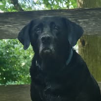 Joey watching intently as Tom cares for the spring-fed pond behind the scenes at Timber Valley Retreat.