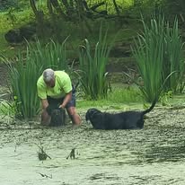 Tom removing unwanted grasses from the Spring-Fed Pond in Maryland while Joey stands guard at Timber Valley Retreat.