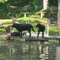 Tom relaxing beside the spring-fed pond with Joey, Ivy, Clover, Georgia, Sugar, and Ruby after a day of caring for Timber Valley Retreat.