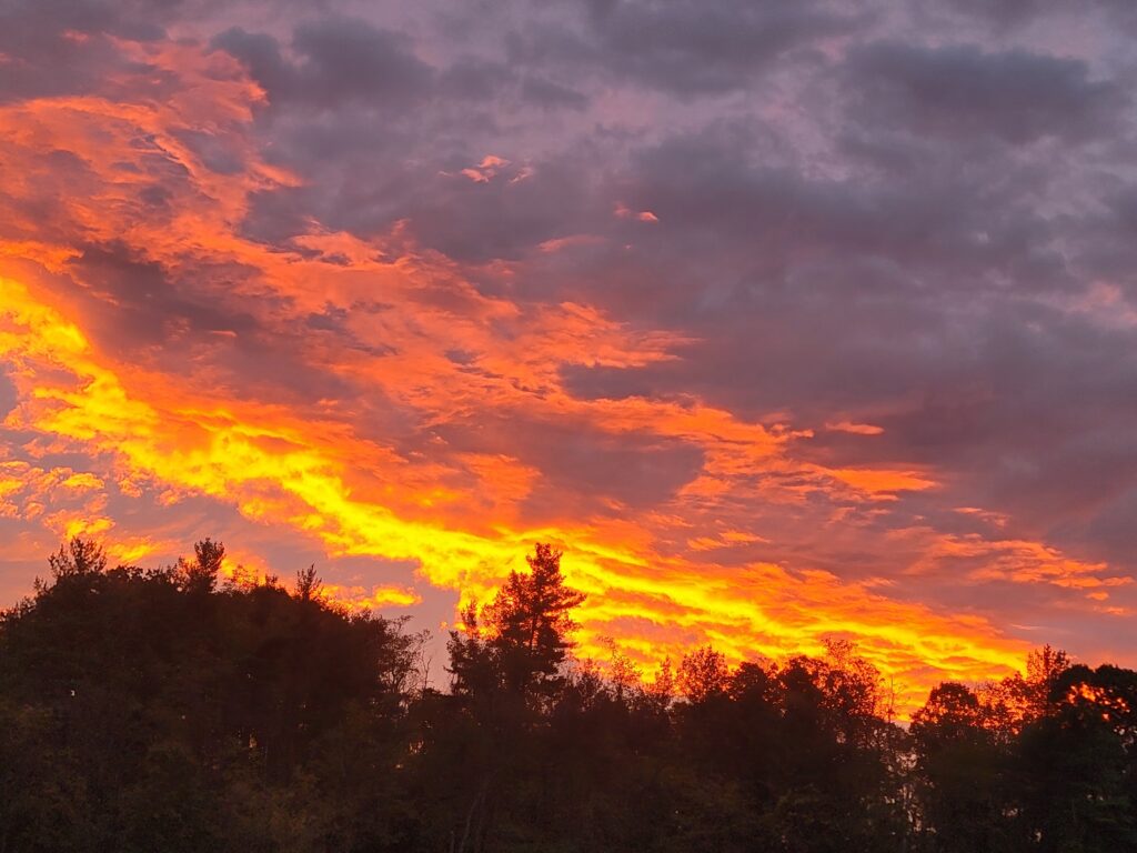 A gorgeous sunrise as the day begins at Timber Valley Retreat.