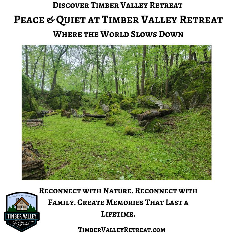 A peaceful moss-covered woodland at Timber Valley Retreat, offering guests a quiet escape at a Western Maryland cabin retreat.