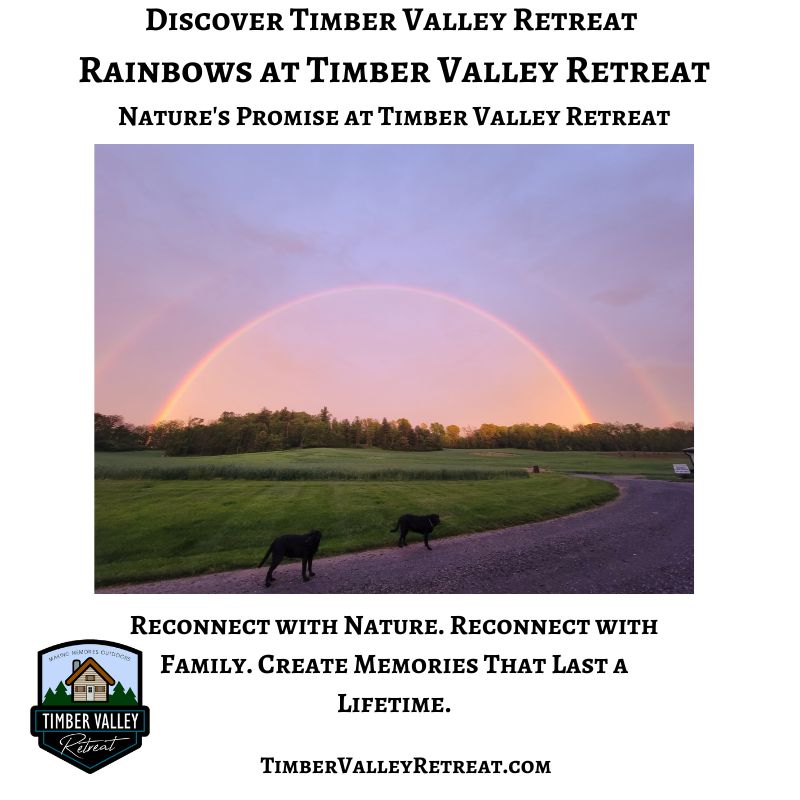 A brilliant double rainbow stretches across the sky above Timber Valley Retreat in Western Maryland as two dogs enjoy the peaceful countryside.
