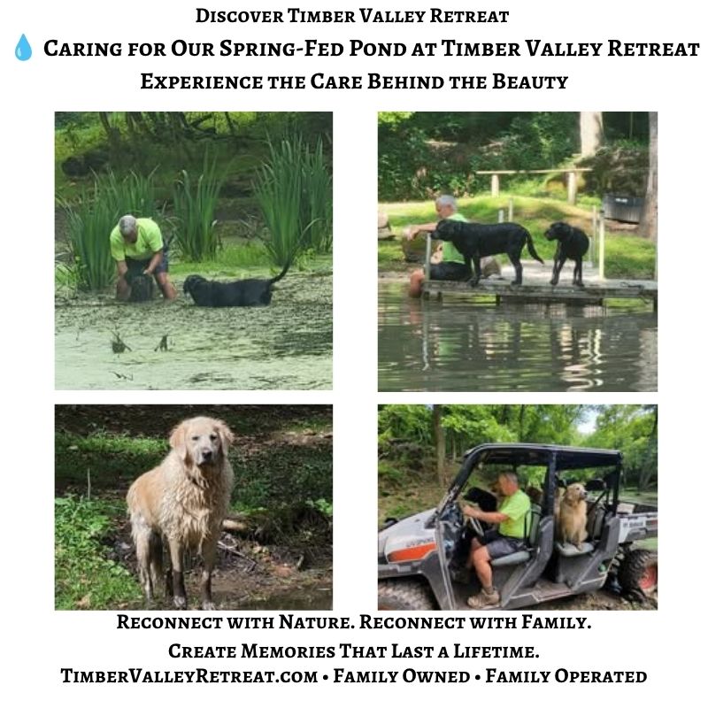 Tom and the Timber Valley girls caring for the spring-fed pond at Timber Valley Retreat, showing the stewardship and teamwork behind one of the retreat's most peaceful natural gathering places in Western Maryland.
