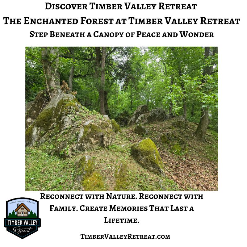 Moss-covered boulders and towering hardwood trees create the peaceful Enchanted Forest at Timber Valley Retreat in Western Maryland.