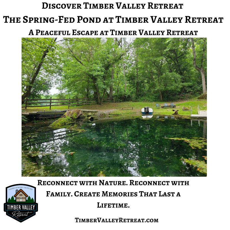 The crystal-clear spring-fed pond at Timber Valley Retreat in Western Maryland, surrounded by towering trees and peaceful woodland scenery.
