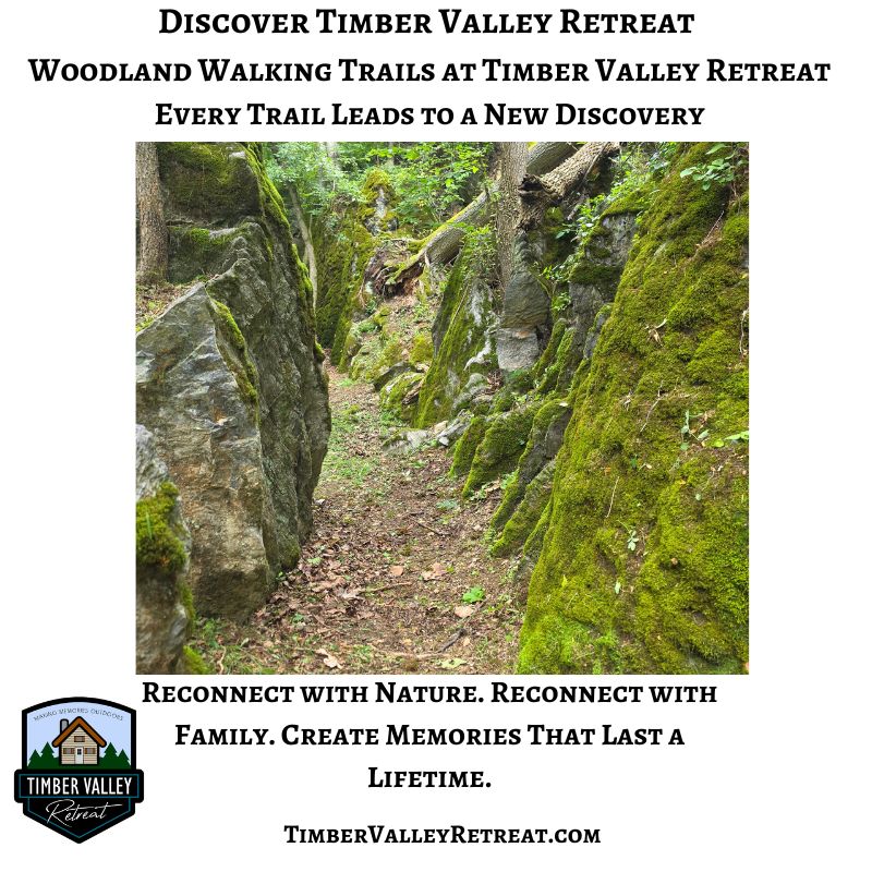 Woodland walking trail at Timber Valley Retreat, inviting guests to explore the peaceful forests of this Western Maryland cabin retreat.
