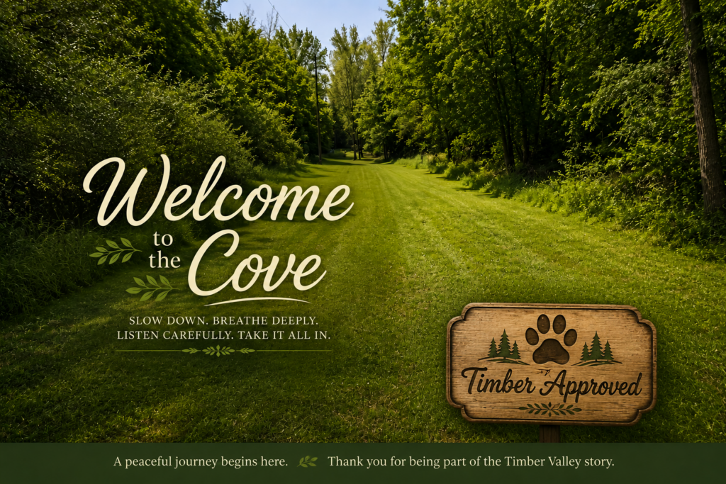 Discover why The Cove at Timber Valley Retreat is a favorite Woodland Retreat Maryland destination, offering peaceful forest walks, moss-covered boulders, and unforgettable natural beauty.