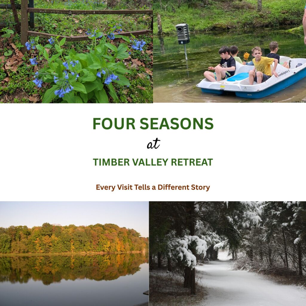 Timber Valley Through the Seasons. Four seasons at Timber Valley Retreat featuring spring wildflowers, summer family fun, colorful autumn landscapes, and peaceful winter scenery in Western Maryland.