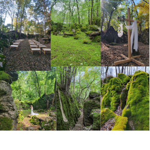God's Cathedral woodland trail at Timber Valley Retreat, a Favorite Photo Location near our Western Maryland Cabin for a Family Cabin Getaway Maryland.