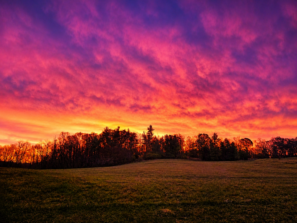 Healing Power of a Sunrise Begins. Make plans to experience a stunning sunrise at Timber Valley Retreat.
