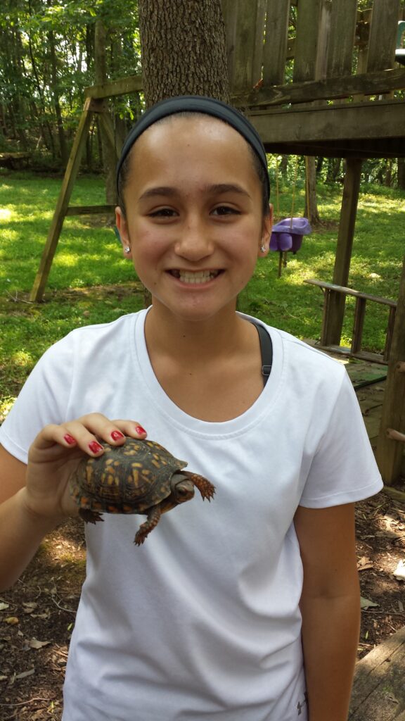 Child holding a box turtle discovered near a Maryland Spring-Fed Pond at Timber Valley Retreat during a family nature adventure.