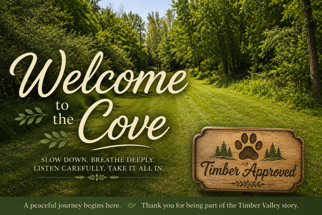 🌿 The Cove Timber Valley Retreat | A Peaceful Woodland Retreat Maryland
