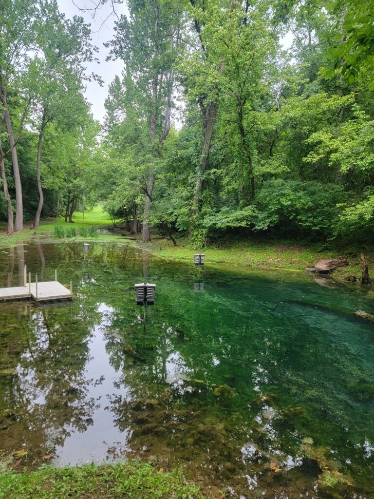 Crystal-clear spring-fed pond surrounded by towering hardwoods at Timber Valley Retreat, creating a peaceful Woodland Relaxation Western Maryland experience.