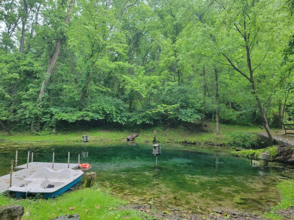 Crystal-clear spring-fed pond during a Morning Nature Walk Maryland at Timber Valley Retreat, a Western Maryland Cabin Rental where guests enjoy spotting wildlife including birds, turtles, fish, frogs, dragonflies, butterflies, and deer.