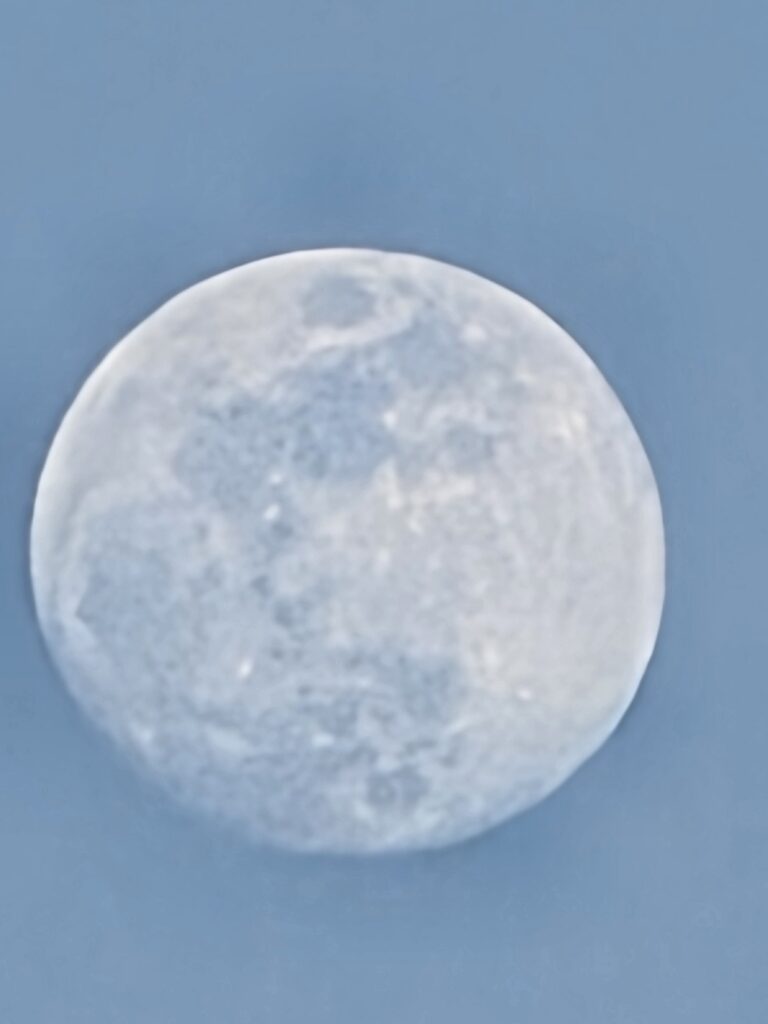 Moon Watching Western Maryland with the daytime moon visible above trees at Timber Valley Retreat