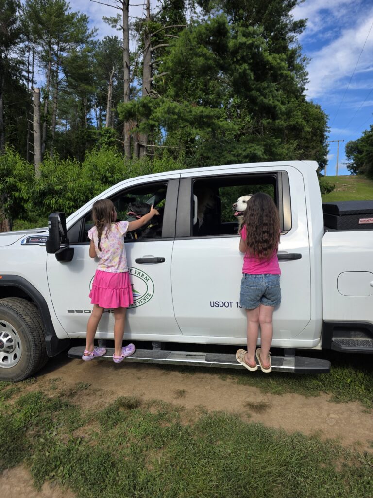 Young guests reaching out to visit the Timber Valley Girls at Timber Valley Retreat in Clear Spring Maryland during a family nature getaway.