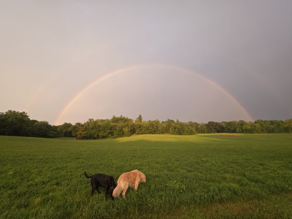 Joey and Ivy standing beneath a colorful rainbow at Timber Valley Retreat in Western Maryland after a summer rainstorm.