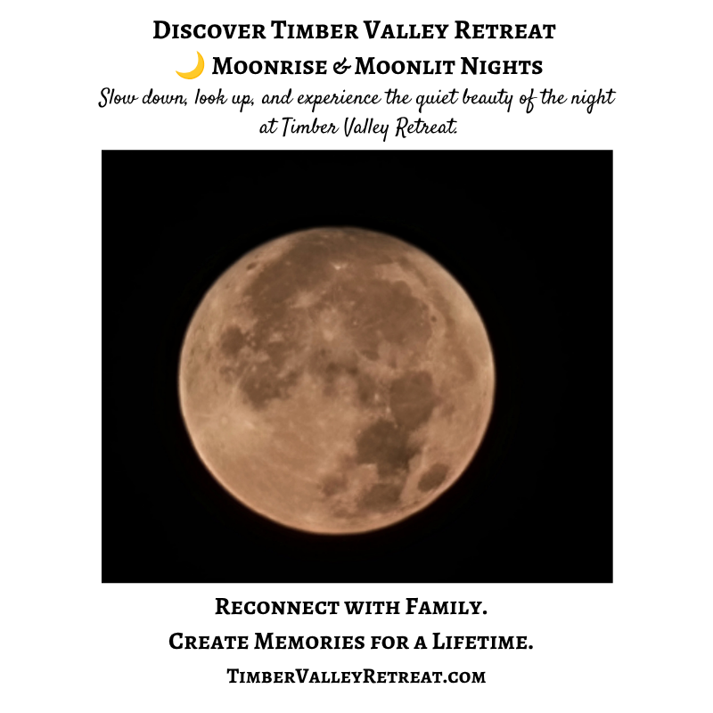 Moonlit Nights Maryland at Timber Valley Retreat with the moon illuminating the nighttime landscape