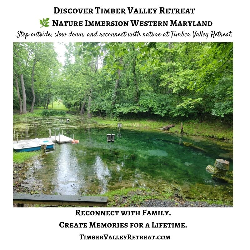 Nature Immersion Western Maryland at Timber Valley Retreat with a spring-fed pond surrounded by lush woodland