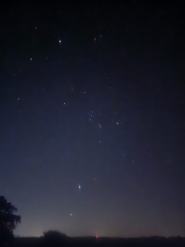 Stars and bright celestial objects visible above the dark sky at Timber Valley Retreat