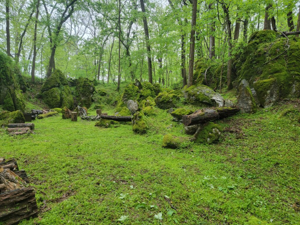 Wildlife in the natural surroundings at Timber Valley Retreat in Clear Spring Maryland.