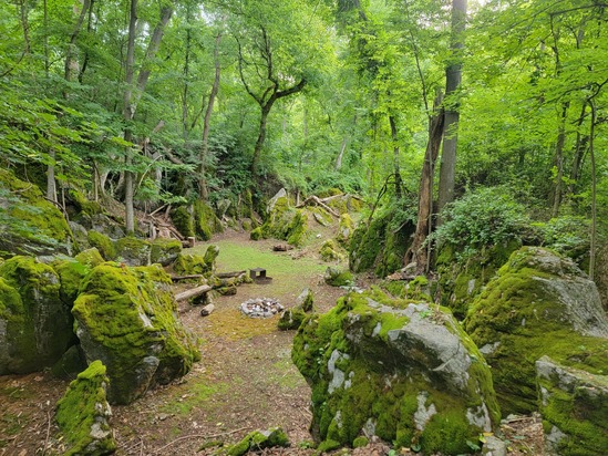 Moss-covered boulders and a peaceful woodland trail in The Enchanted Forest at Timber Valley Retreat, showcasing Forest Bathing Maryland in a tranquil Western Maryland forest setting.