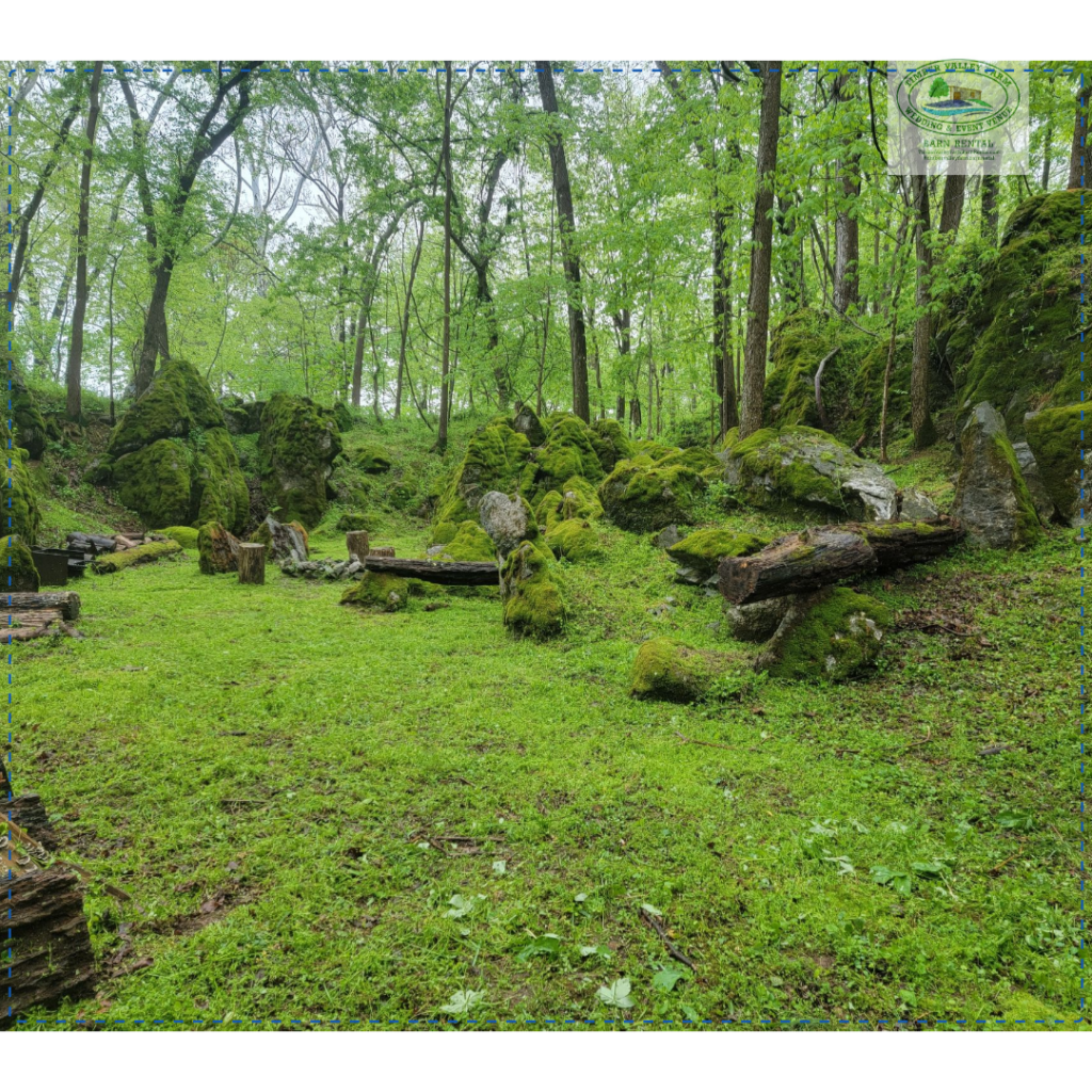 God's Cathedral woodland trail at Timber Valley Retreat, a peaceful place in Maryland and an Exclusive Private Cabin Retreat in Washington County near Washington DC, Northern Virginia, Pennsylvania, West Virginia, and Maryland's Eastern Shore. Peaceful Places in Maryland