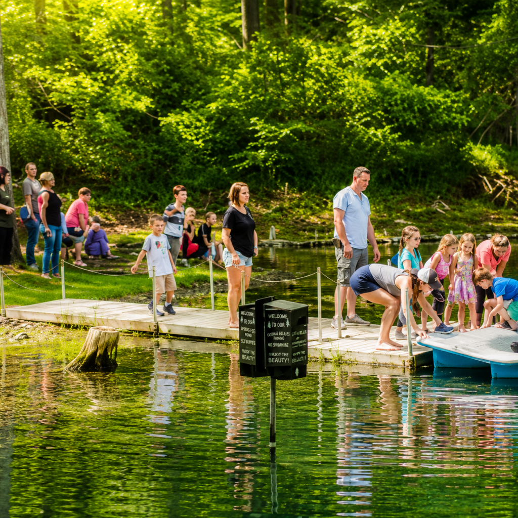 Families enjoying a Family Cabin Vacation Maryland while exploring the spring-fed pond at Timber Valley Retreat during a Western Maryland Family Retreat.