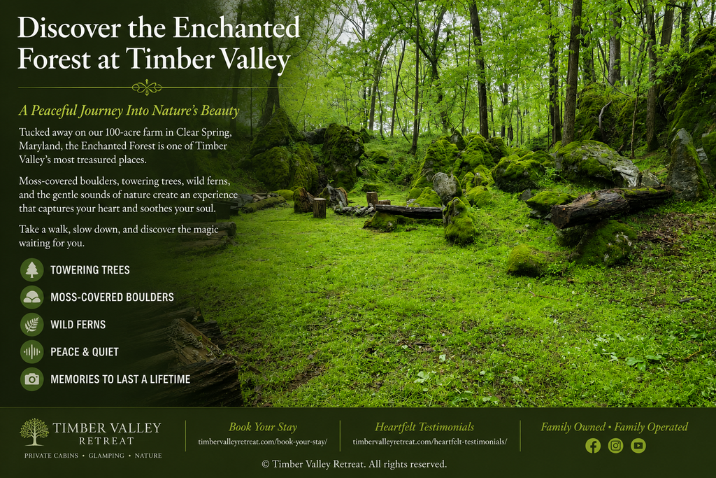 Enchanted Forest at Timber Valley Retreat offering a peaceful woodland setting for a Women’s Western Maryland Getaway