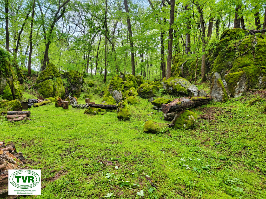 Enchanted Forest at Timber Valley Retreat in Western Maryland featuring moss-covered boulders, woodland greenery, and a peaceful natural clearing